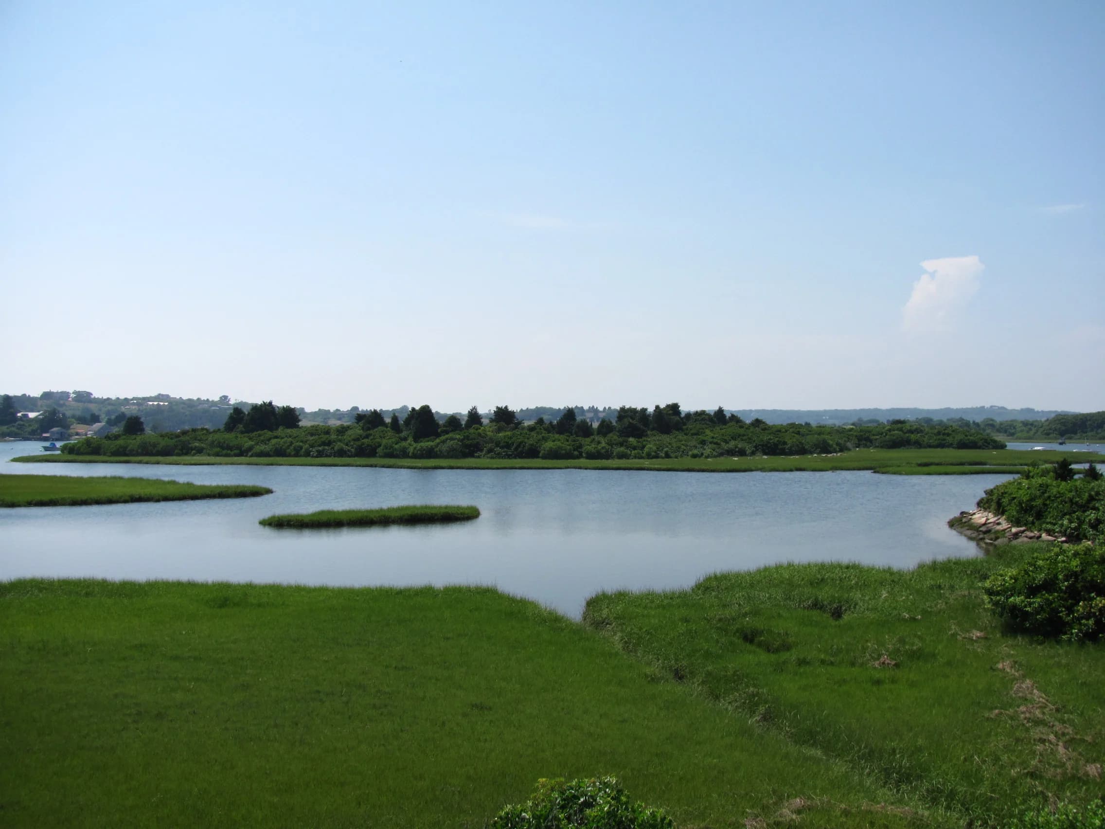 Water channels and grassy shoreline at Nashaquitsa Pond in Chilmark.